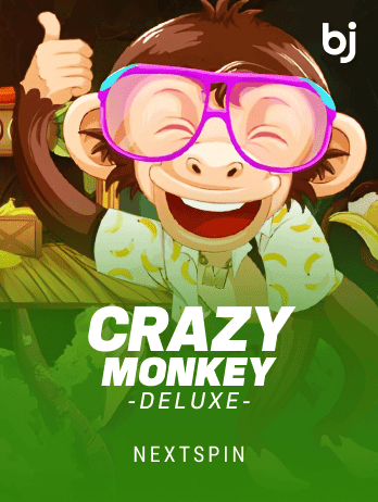 Crazy Monkey Deluxe game cover