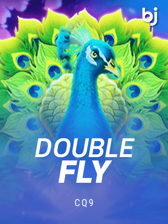 Double Fly game cover